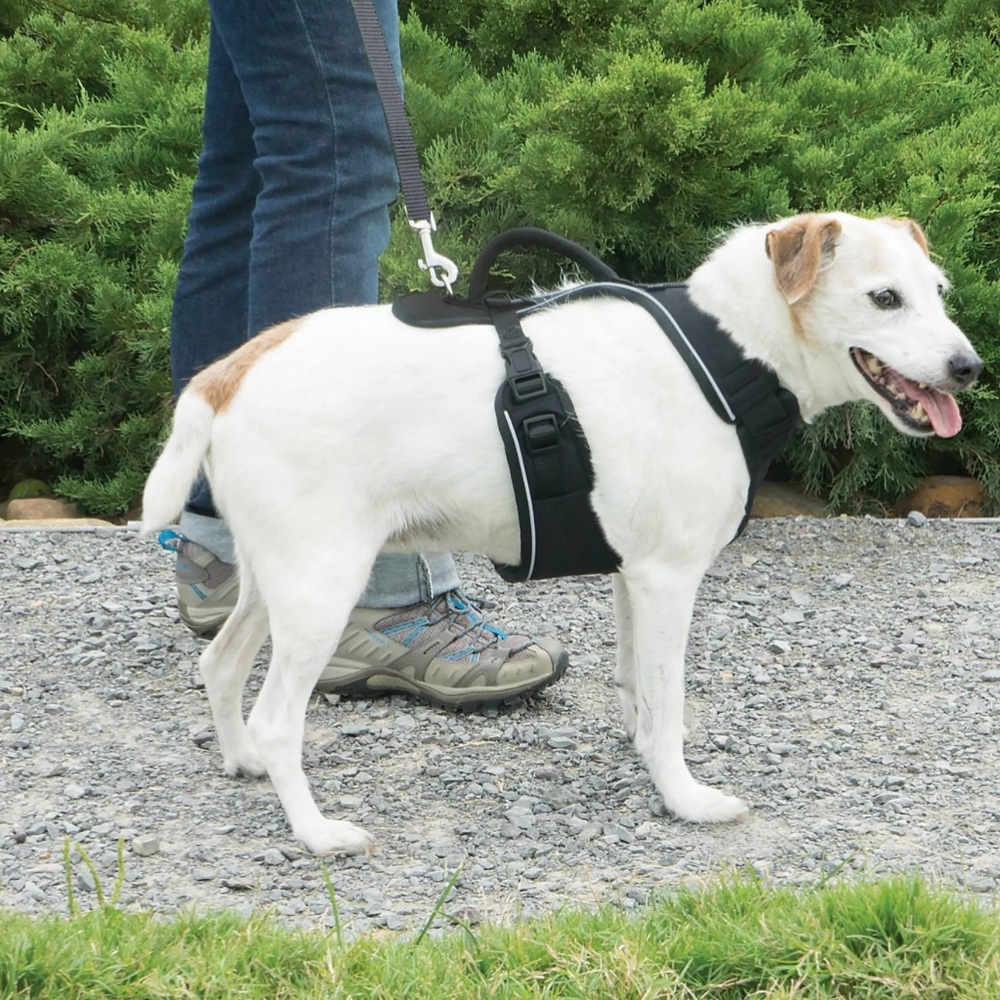 easysport small dog Harness PetSafe black reflective stripes adjustable